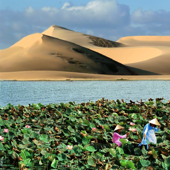 TOUR PHAN THIẾT 2023: MŨI NÉ – TÀ CÚ – BÀU SEN