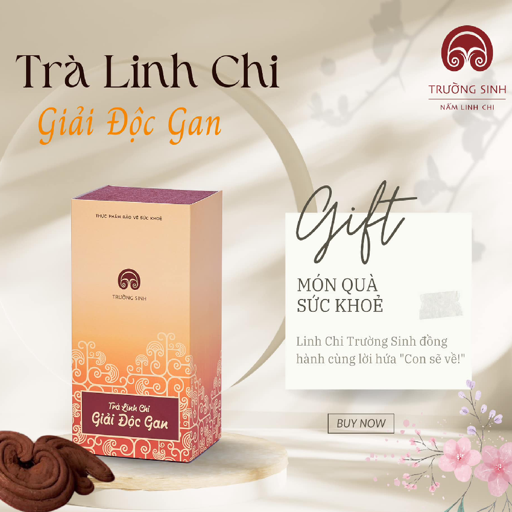 TRÀ LINH CHI GIẢI ĐỘC GAN